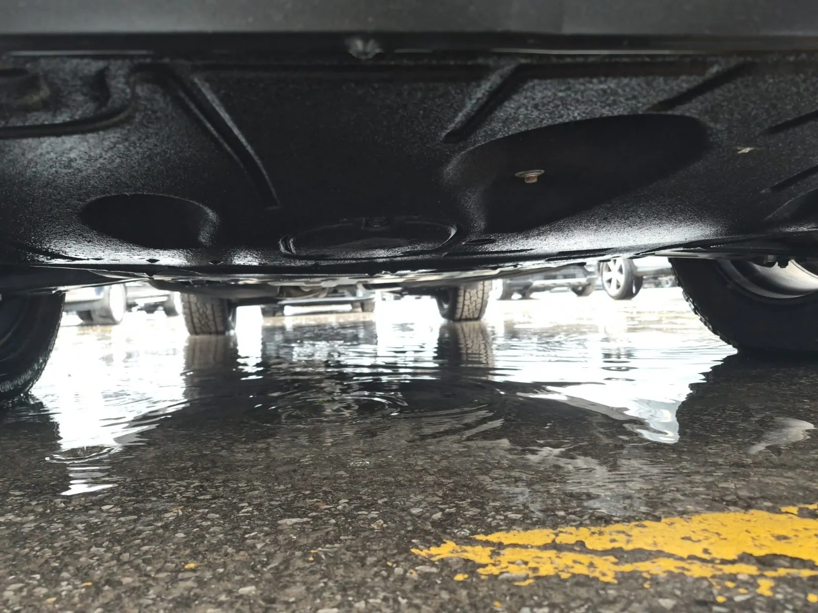 Undercarriage - Front Photo