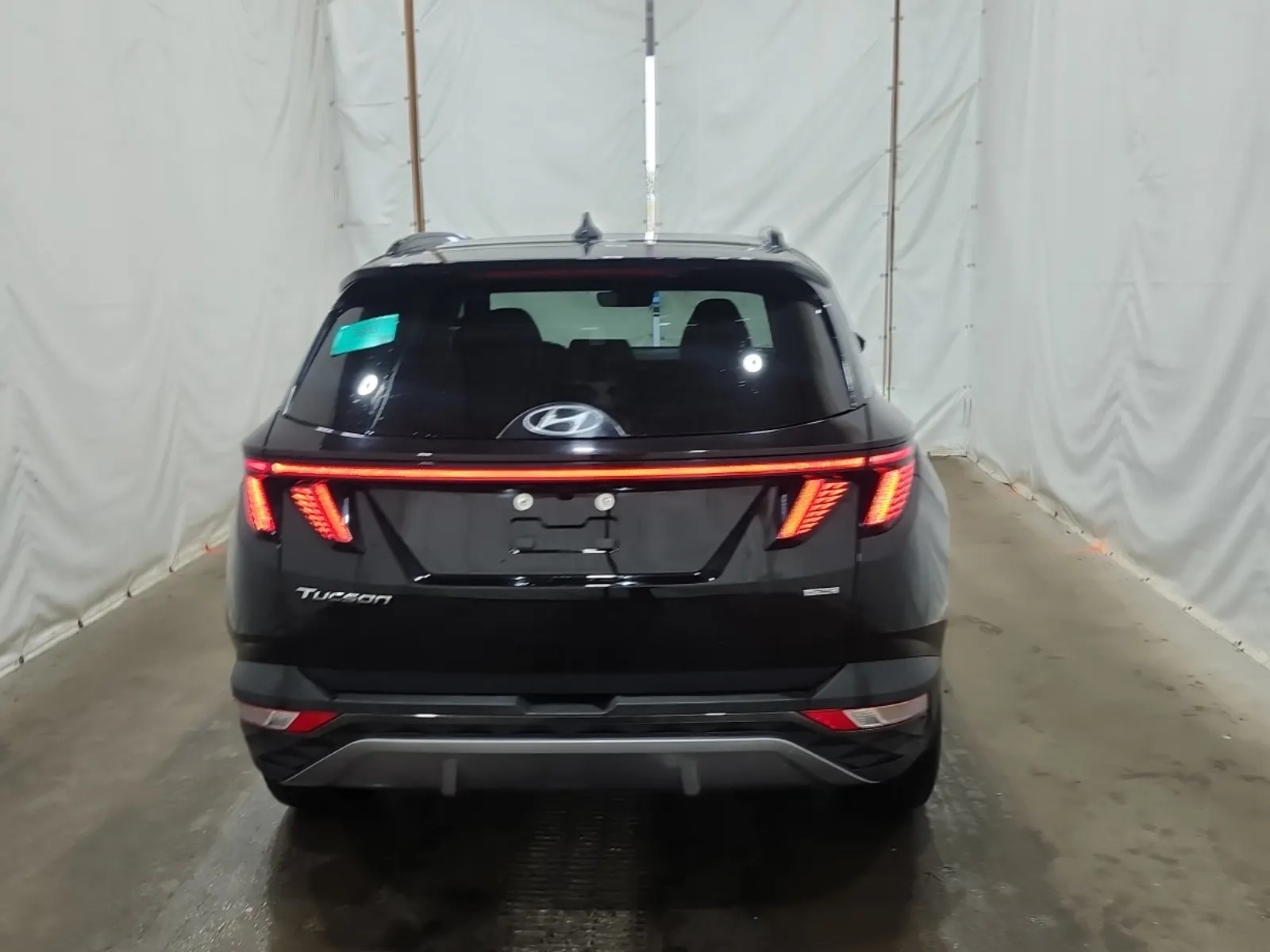 Full Rear Photo