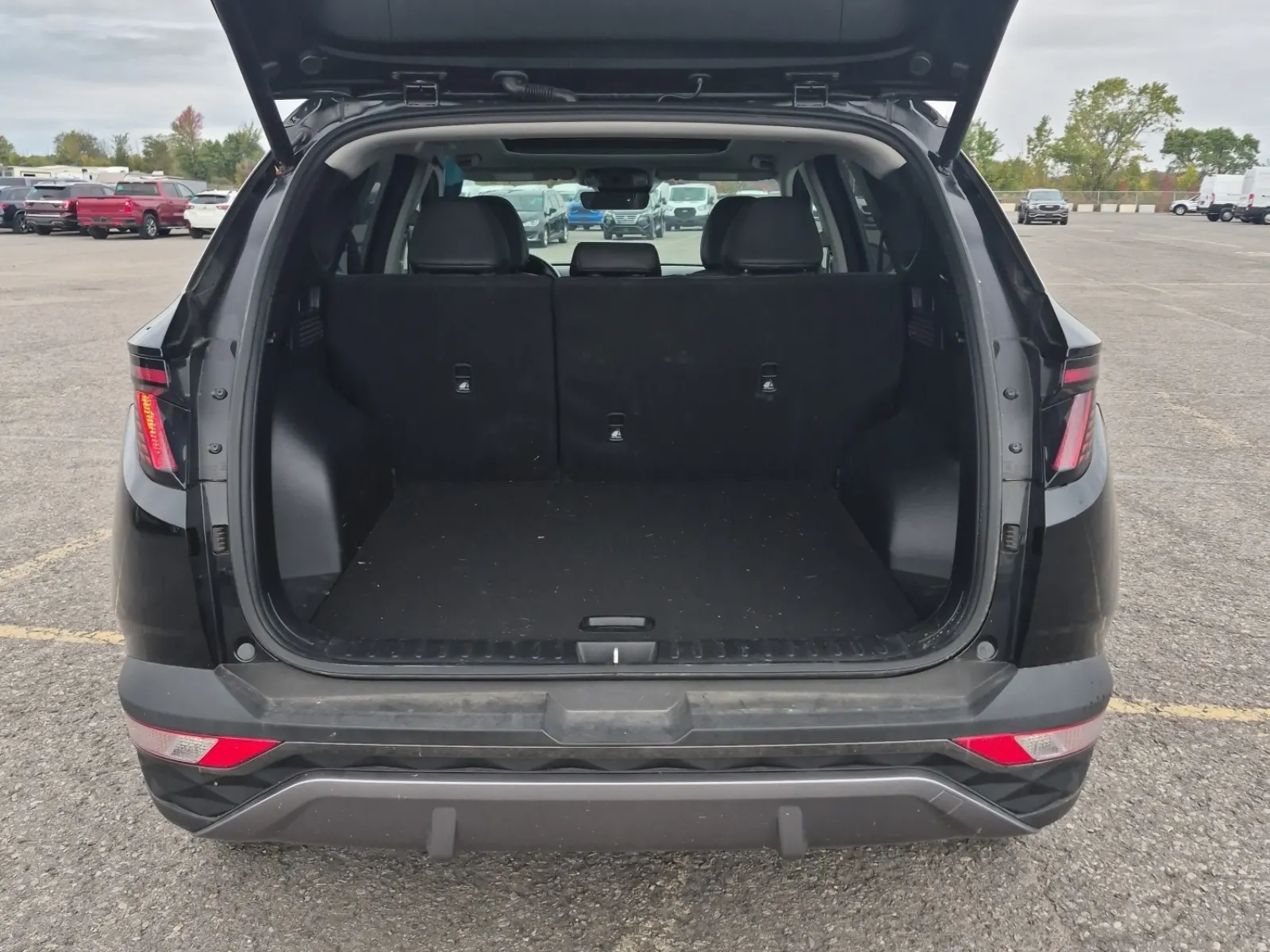 Cargo Area Photo