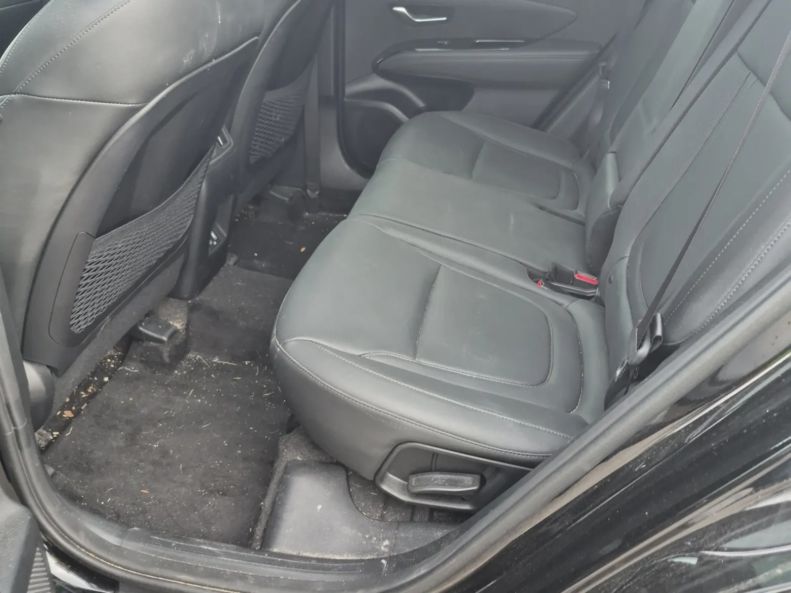 Rear Interior Photo
