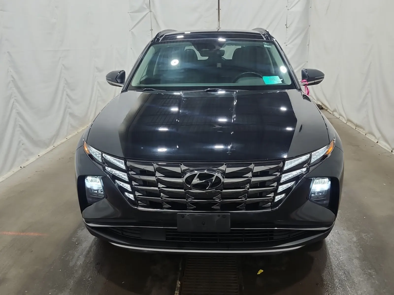 Full Front Photo