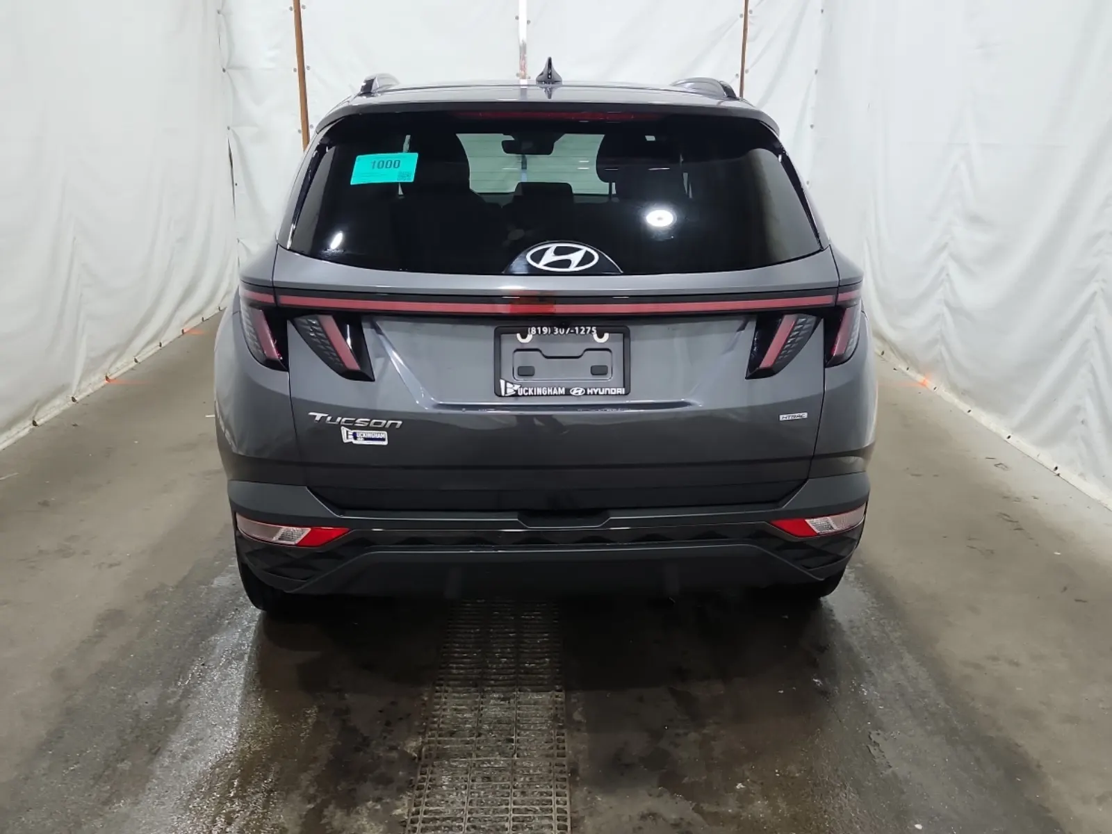 Full Rear Photo