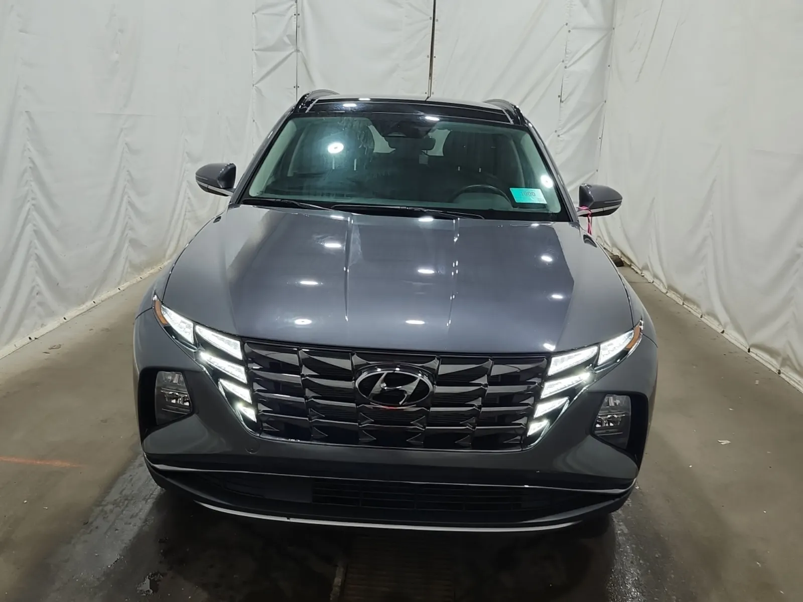 Full Front Photo