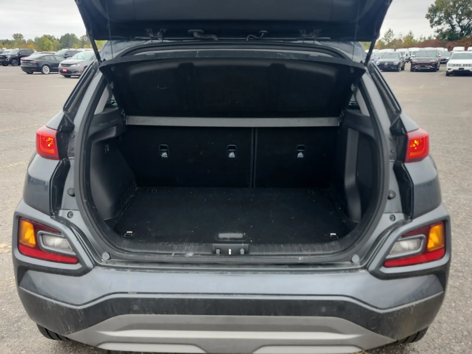 Cargo Area Photo