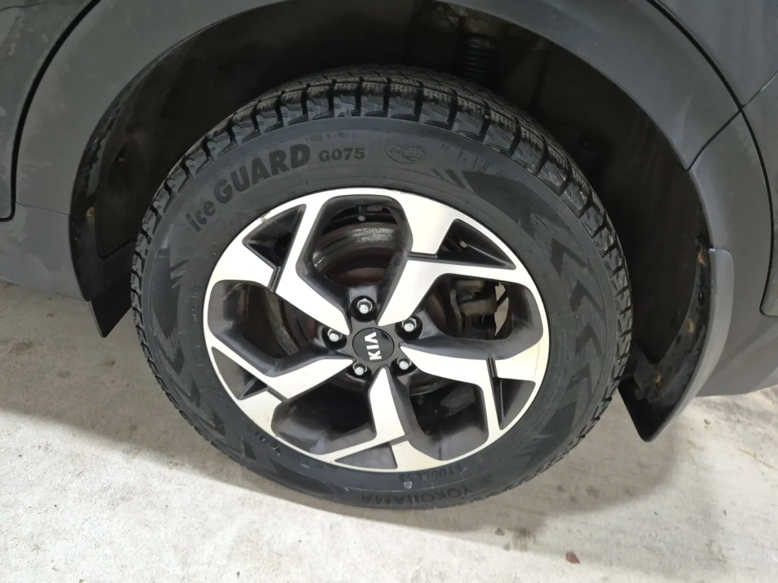 Left Rear Wheel/Tire Photo