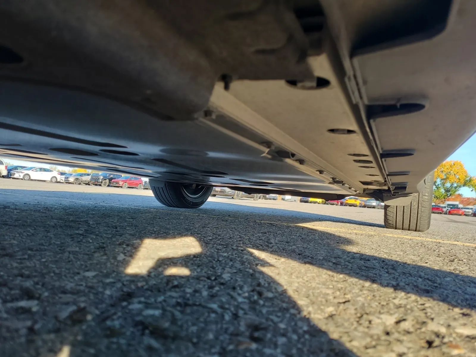 Undercarriage - Driver Photo