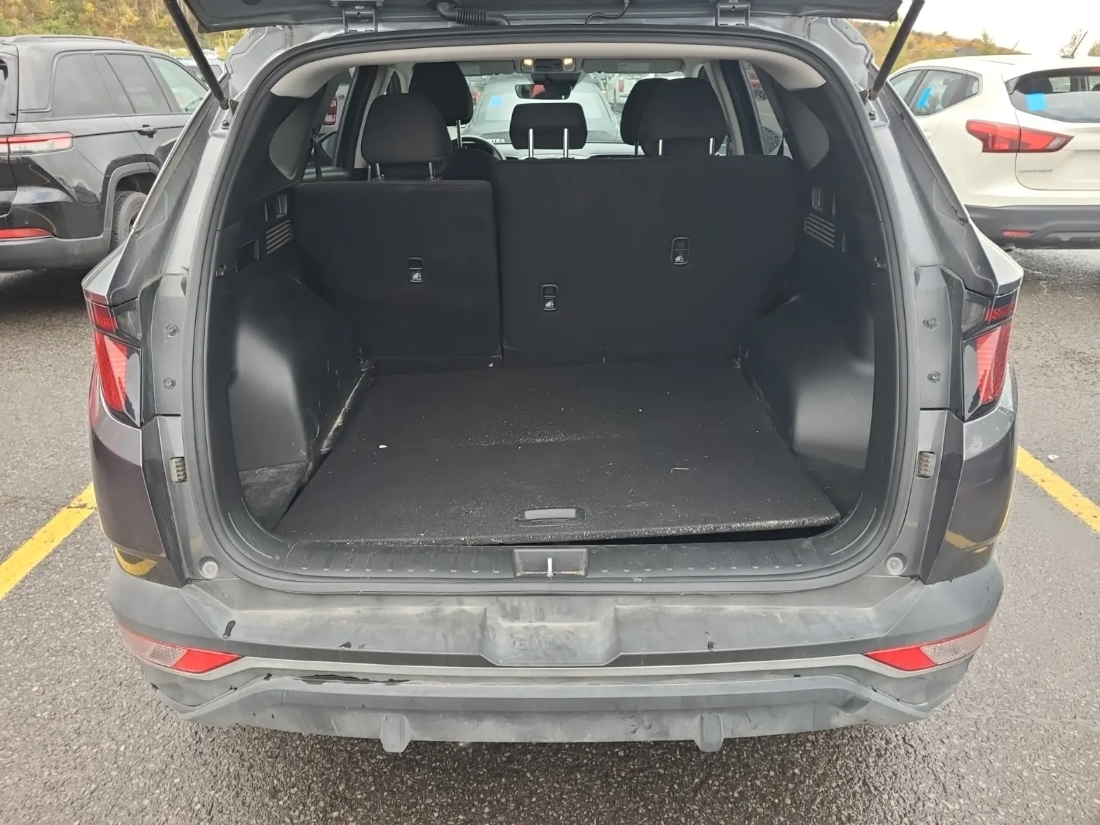 Cargo Area Photo
