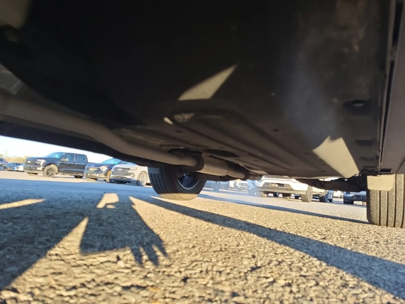 Undercarriage - Driver Photo