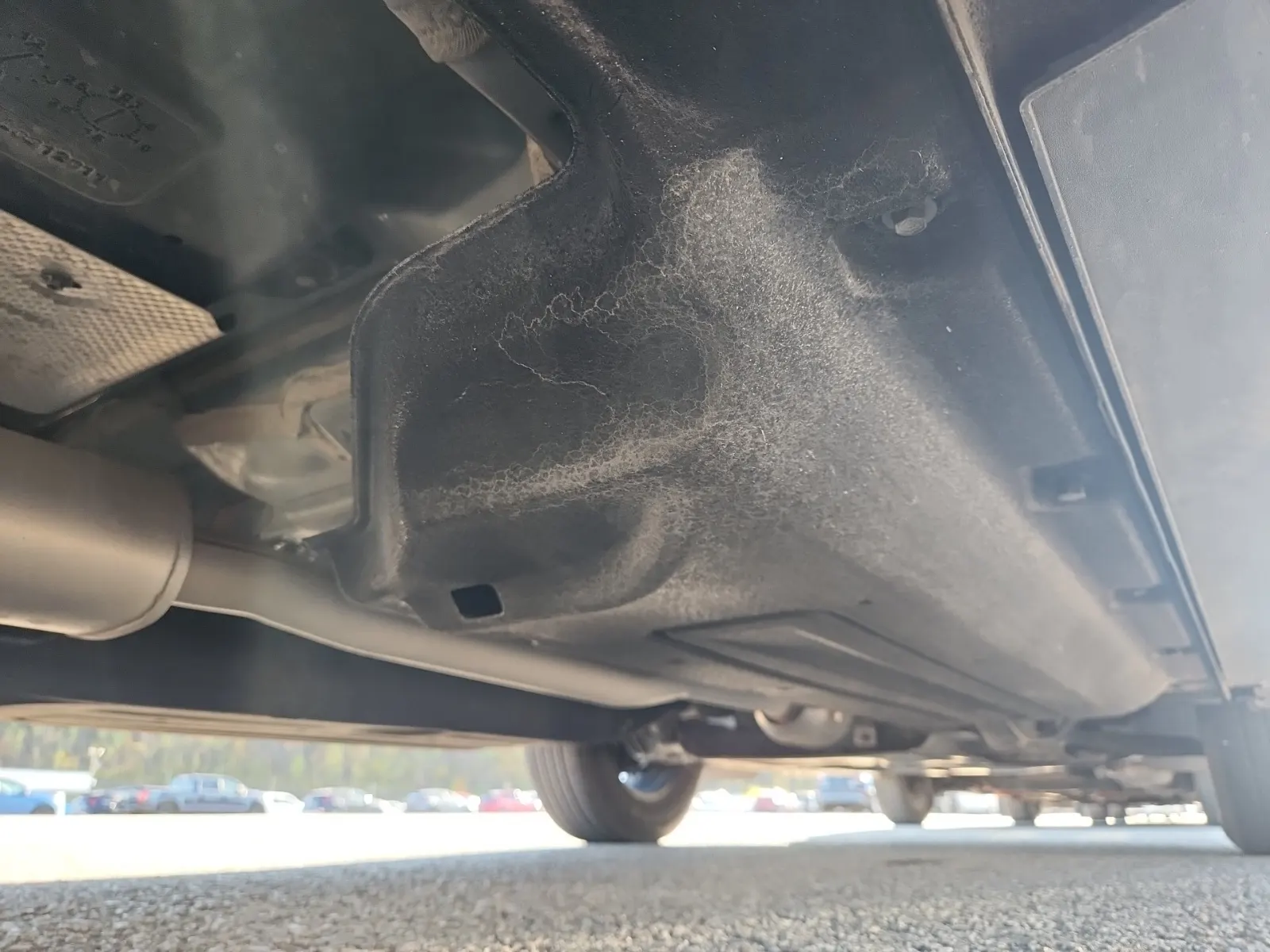 Undercarriage - Passenger Photo