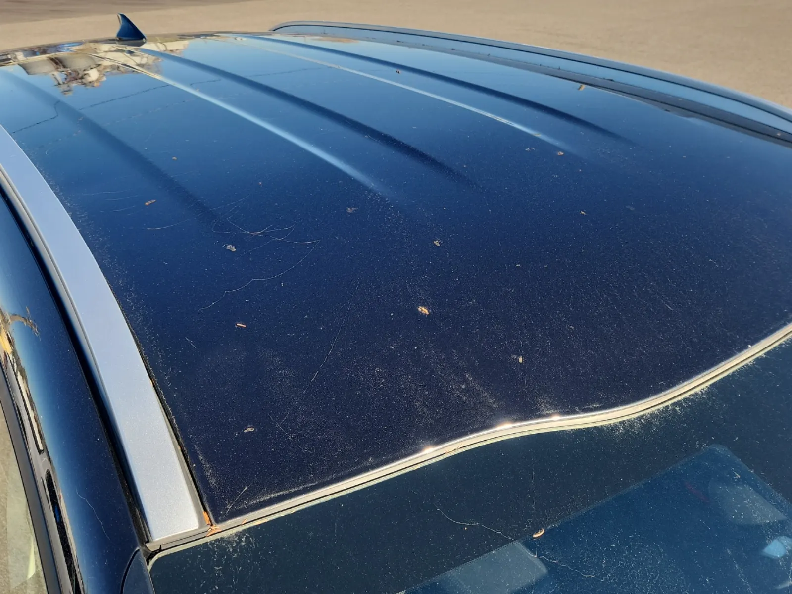 Exterior Roof Photo