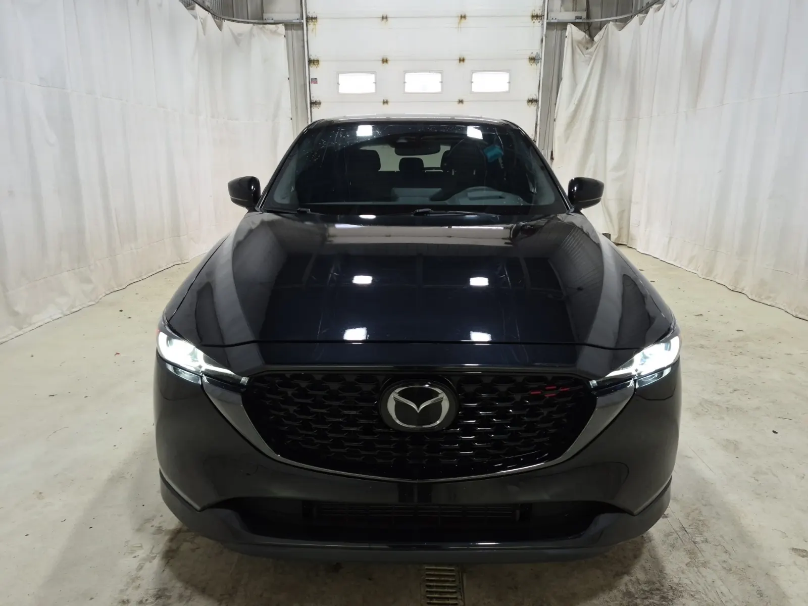 Full Front Photo