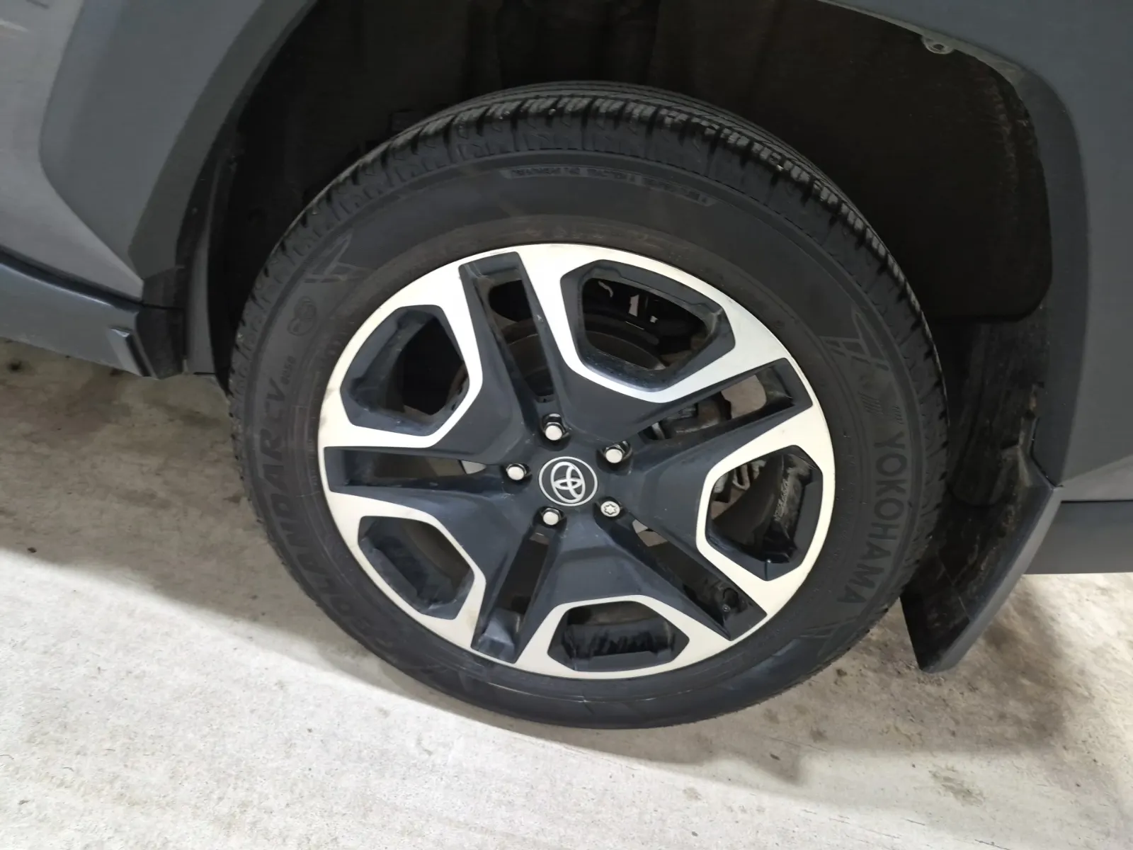 Left Rear Wheel/Tire Photo