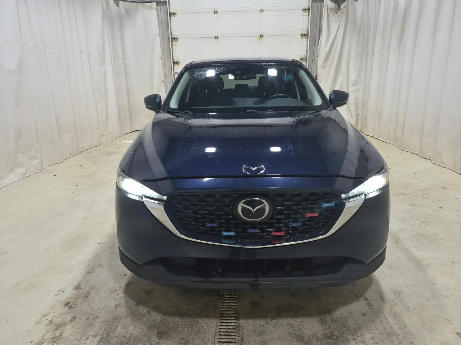 Full Front Photo