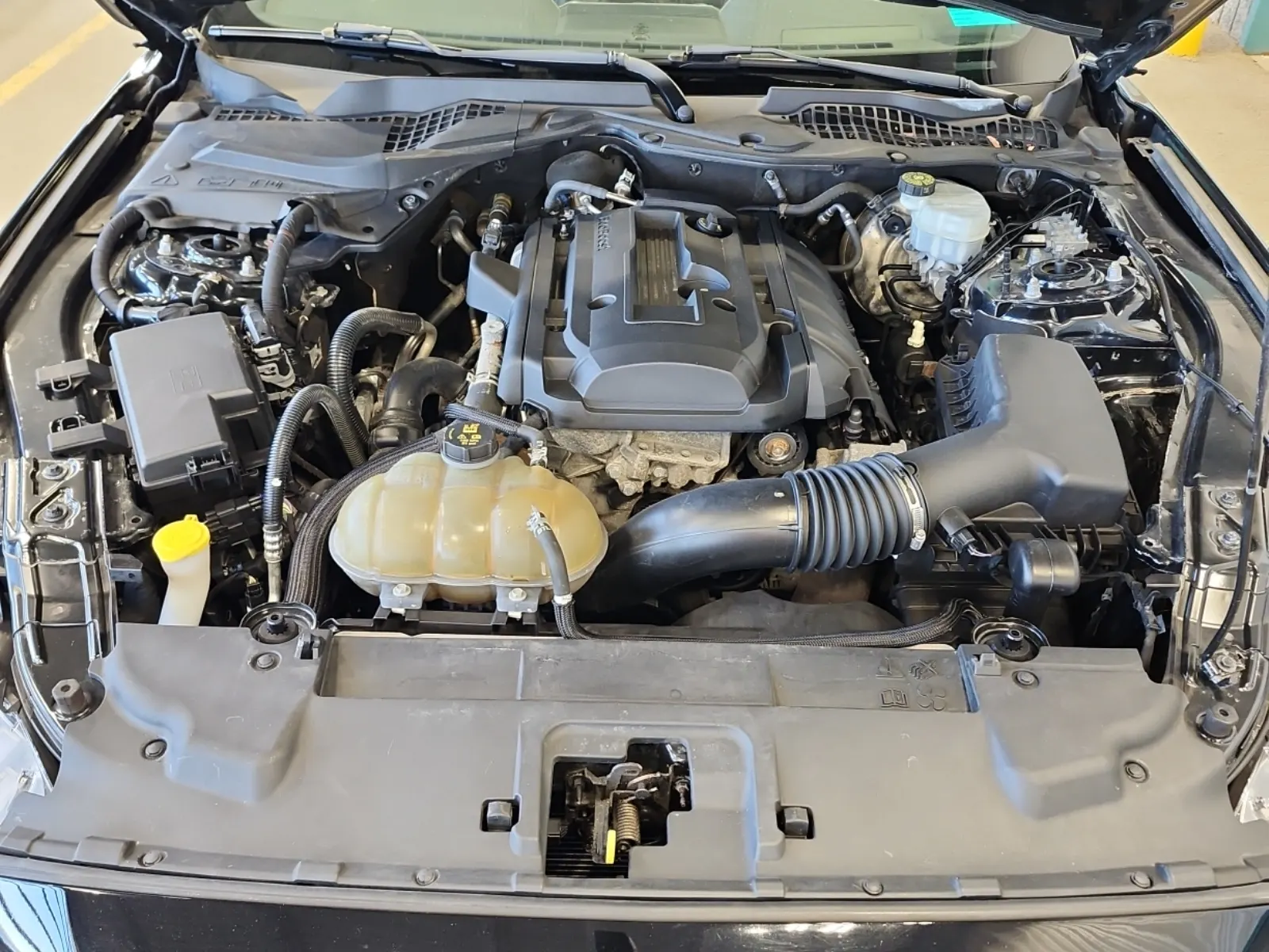 Engine Photo