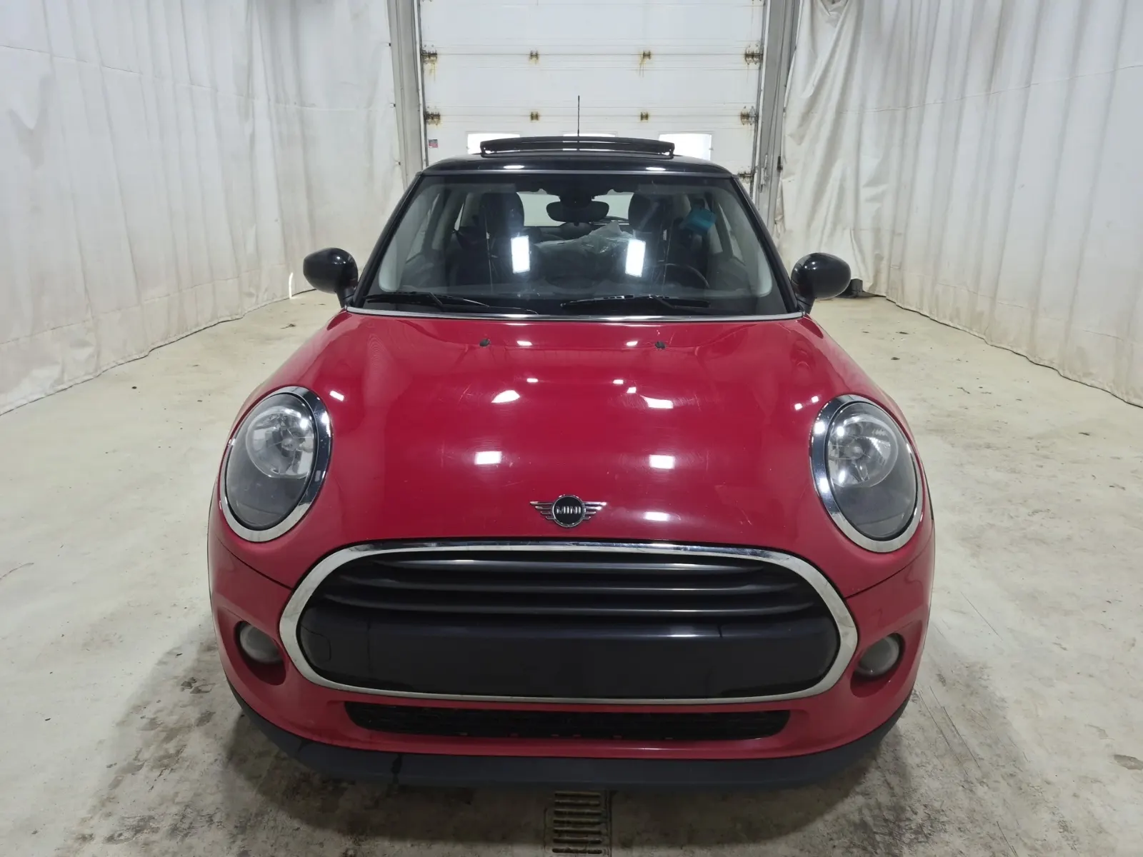 Full Front Photo