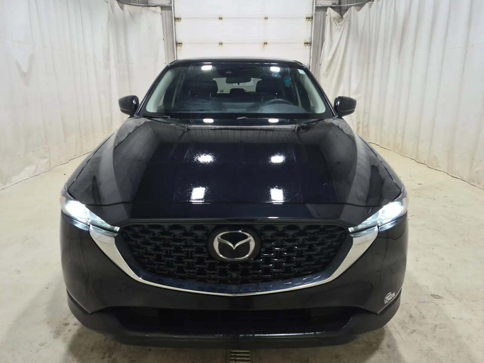 Full Front Photo