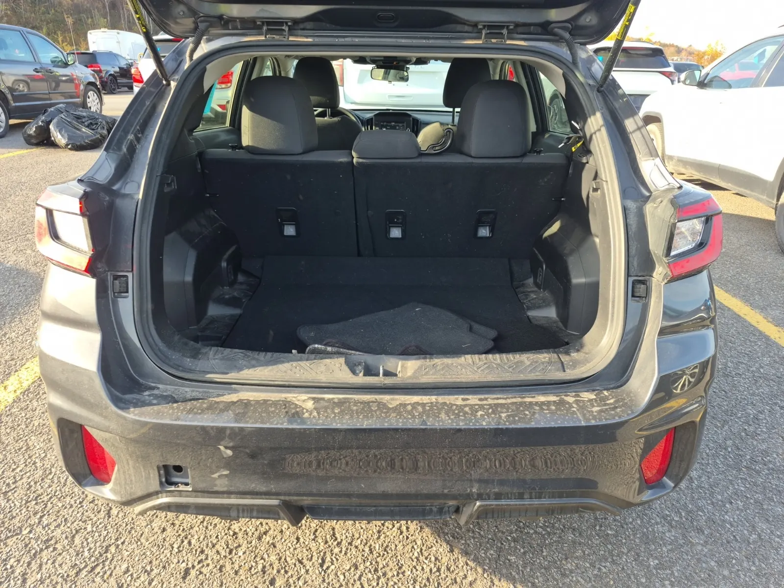 Cargo Area Photo