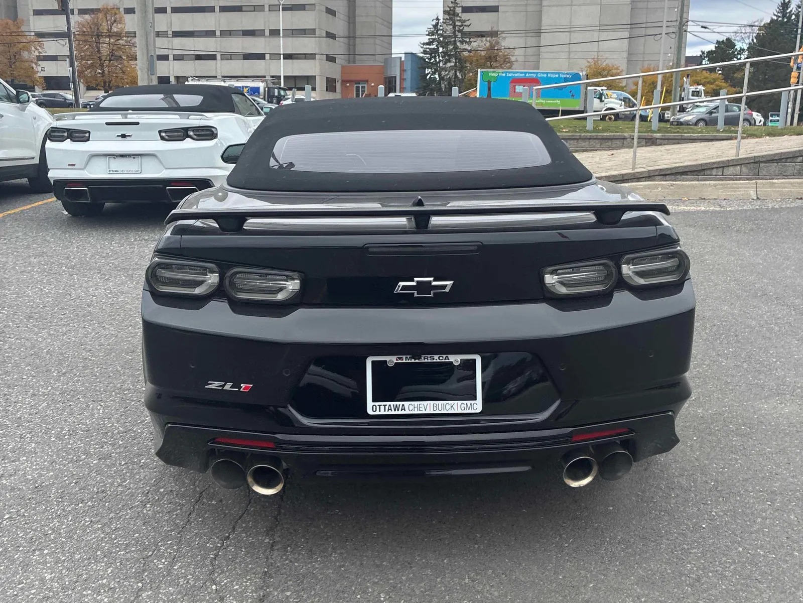 Back