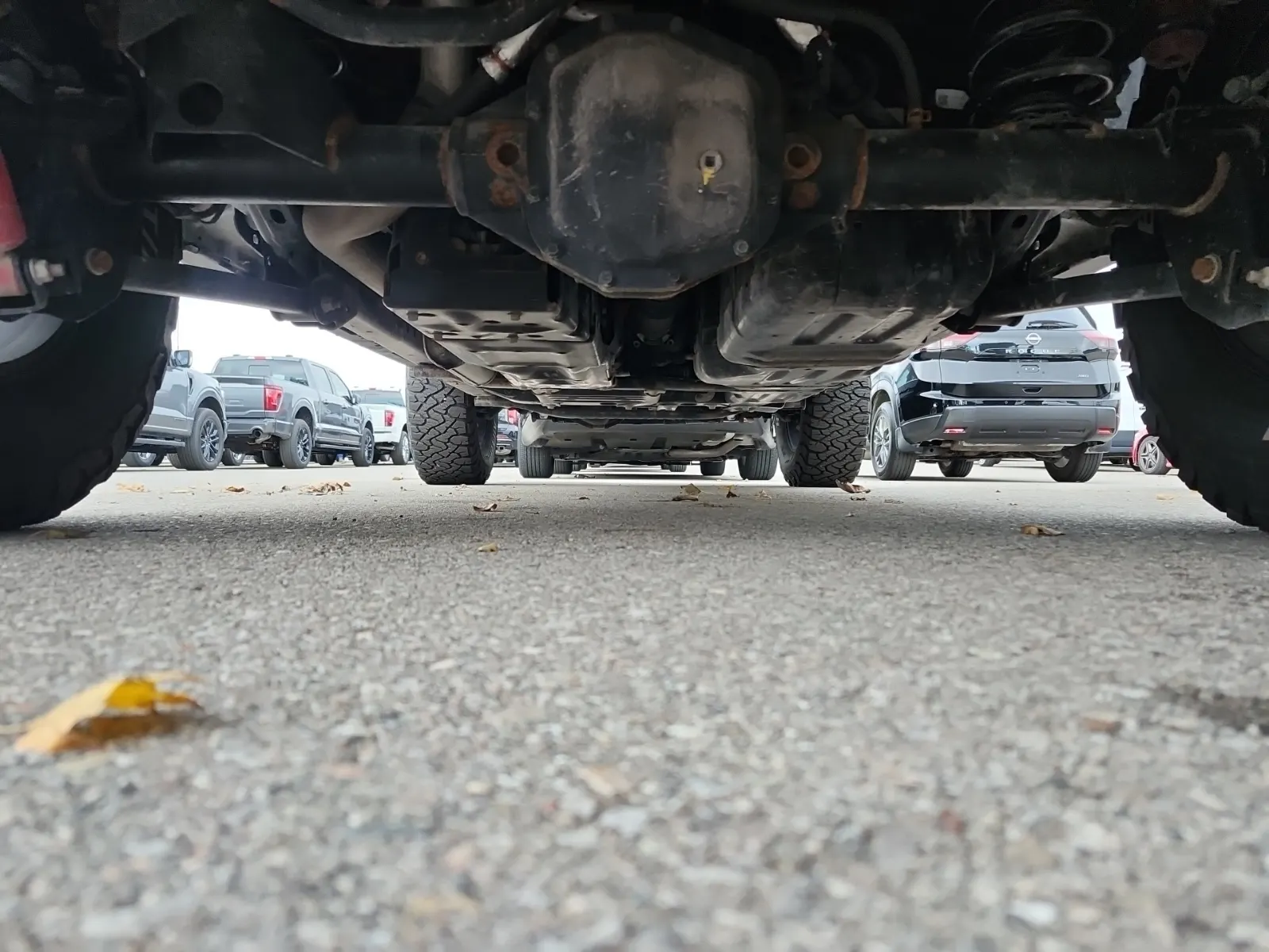 Undercarriage - Rear Photo