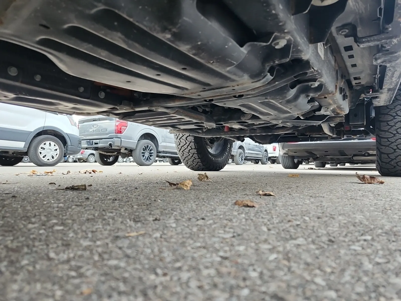 Undercarriage - Passenger Photo