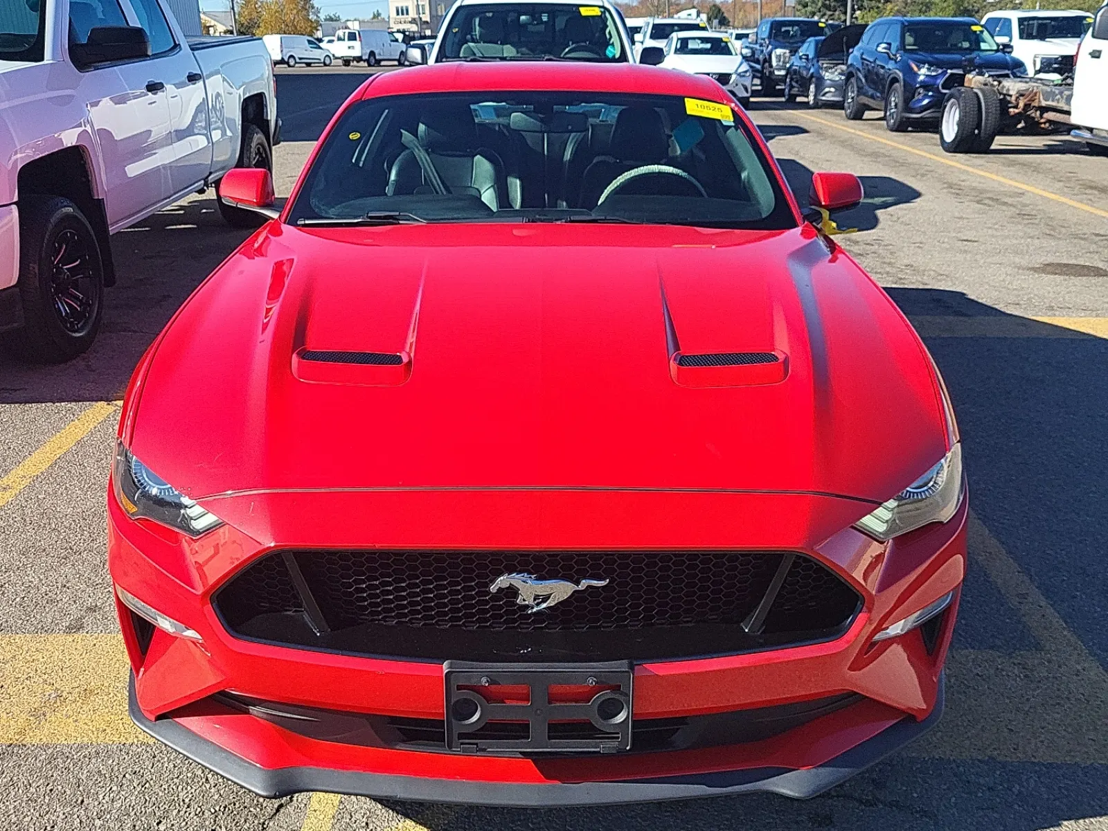 Full Front Photo