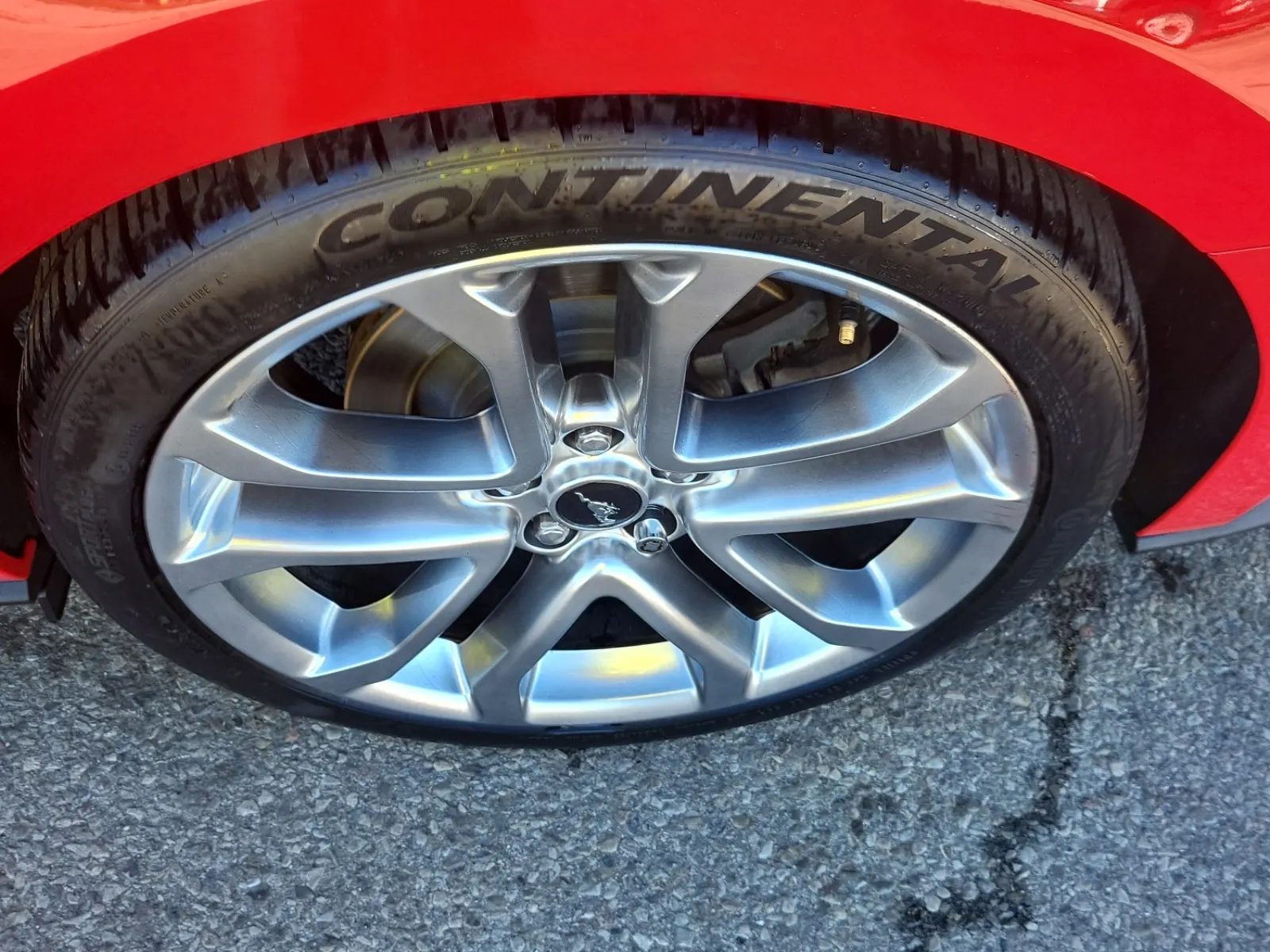 Left Rear Wheel/Tire Photo