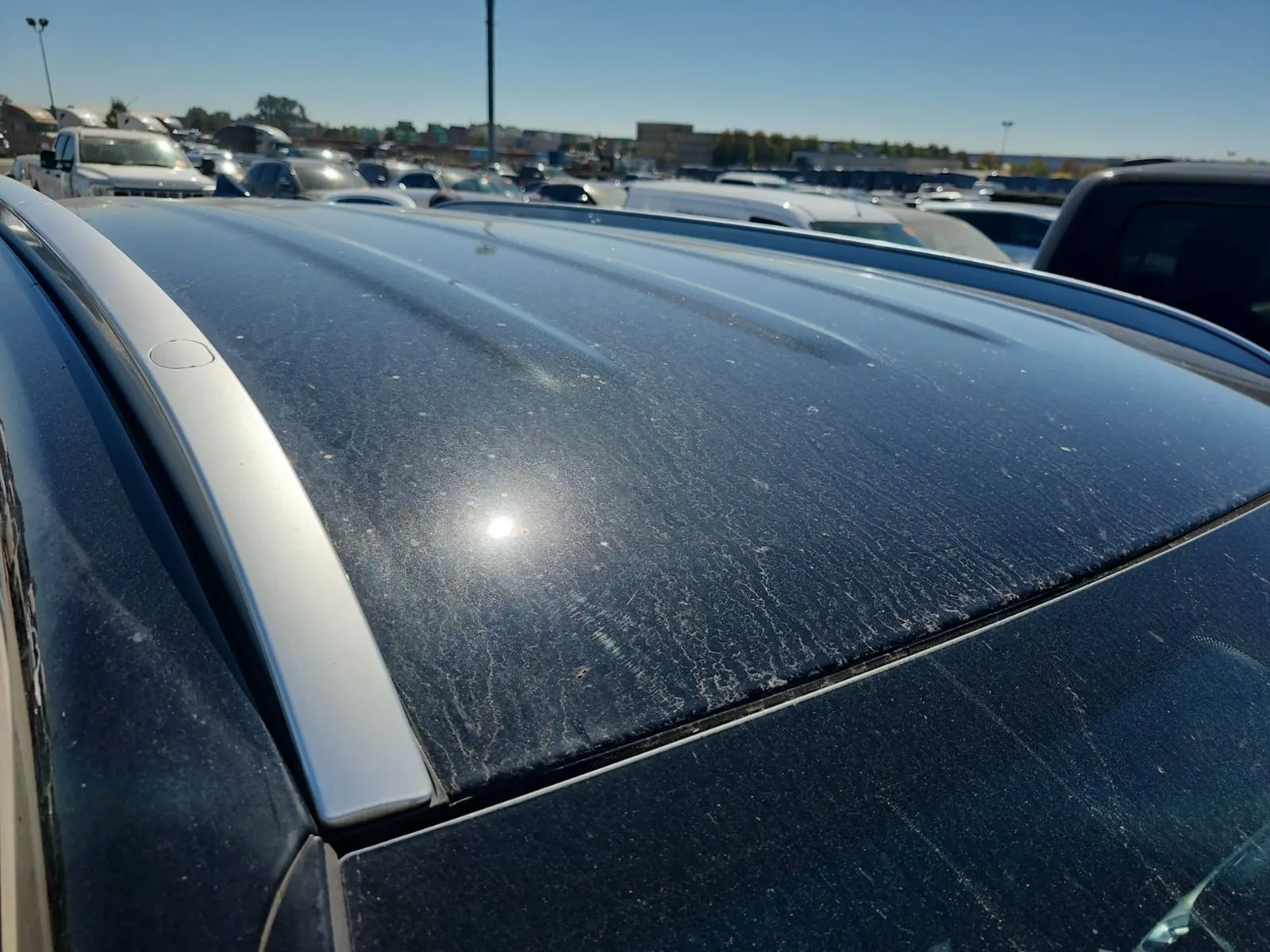 Exterior Roof Photo