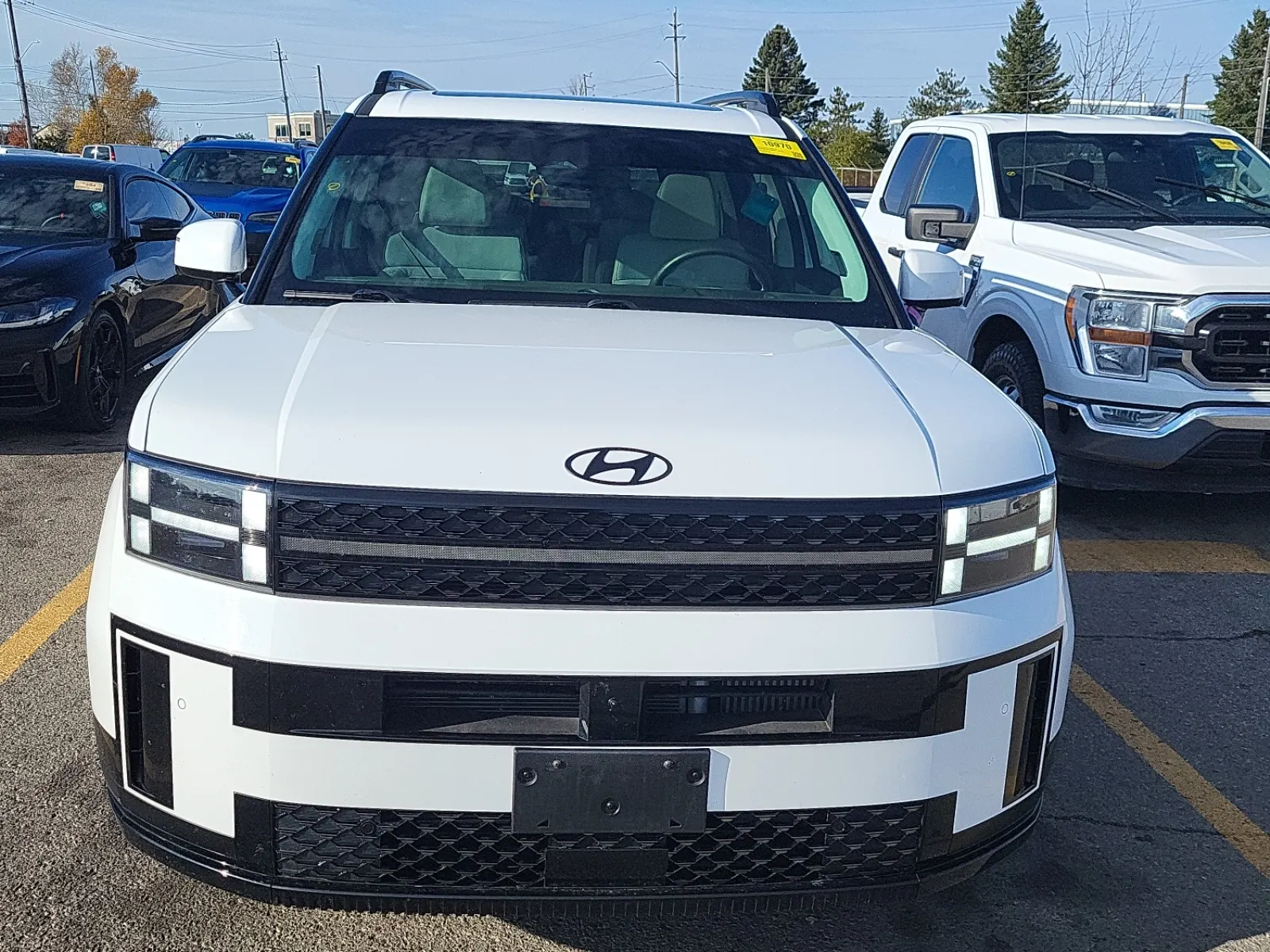 Full Front Photo