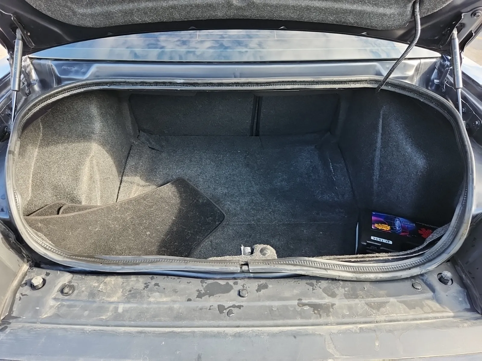 Cargo Area Photo