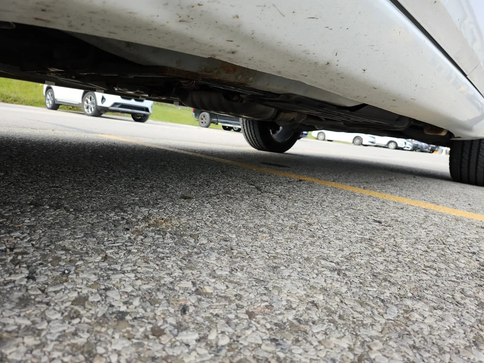 Undercarriage - Driver Photo