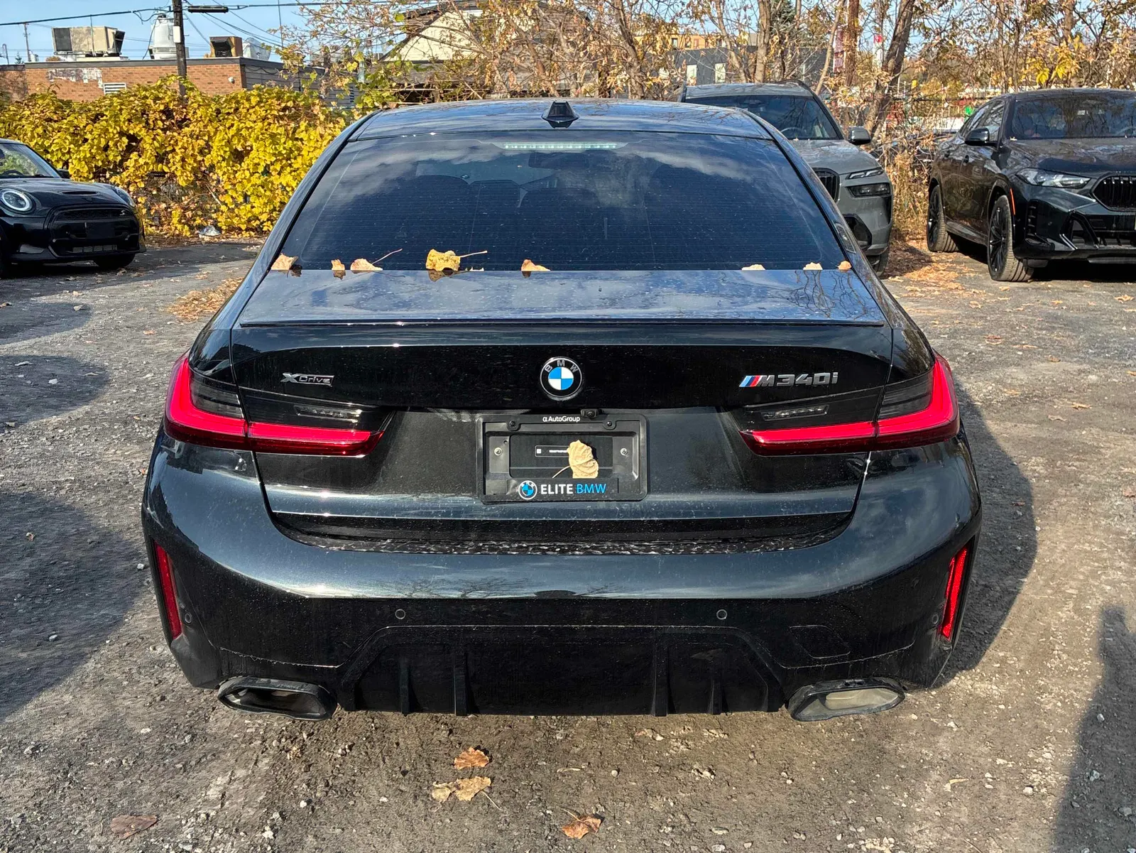 Back