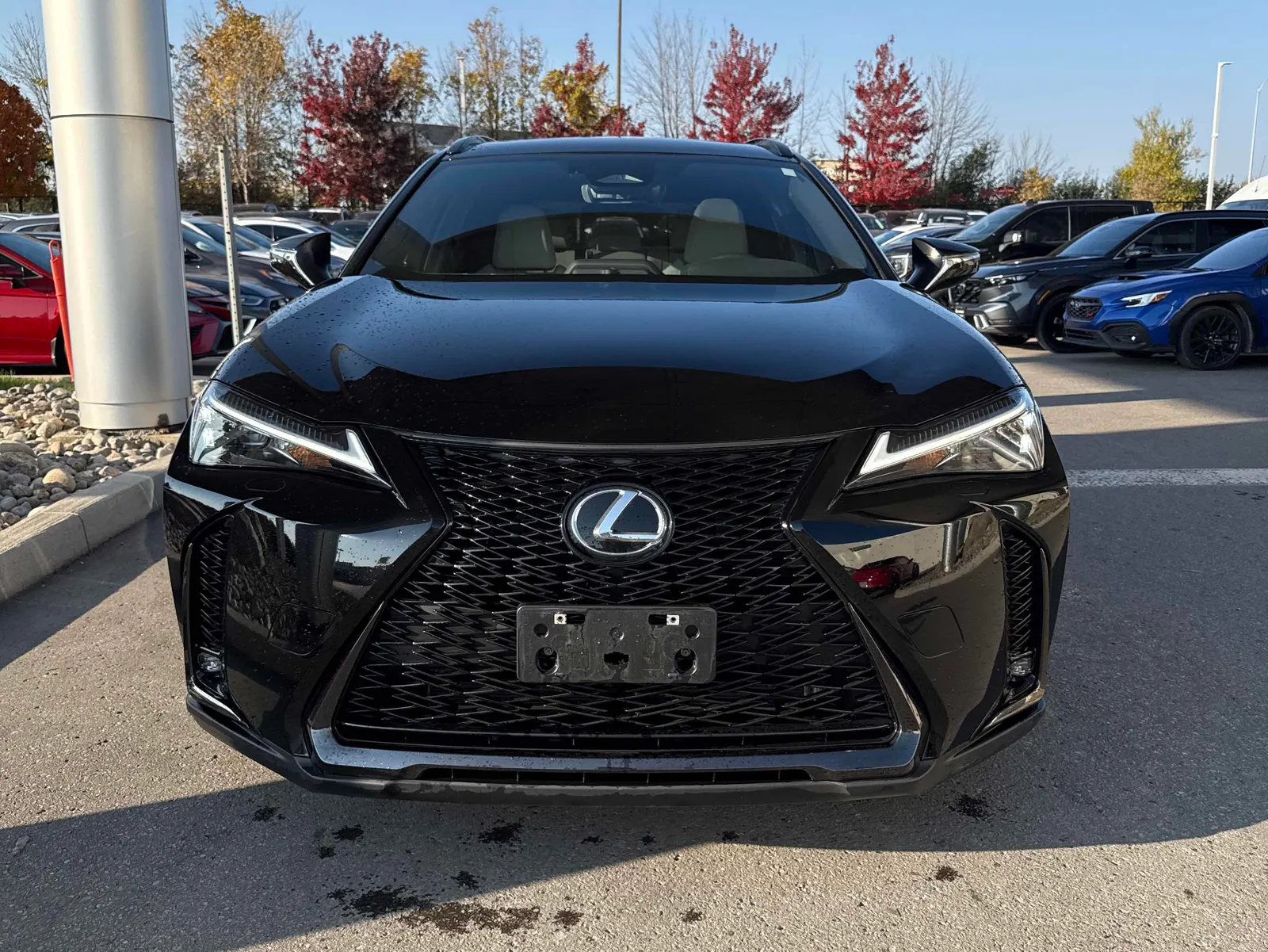 Front