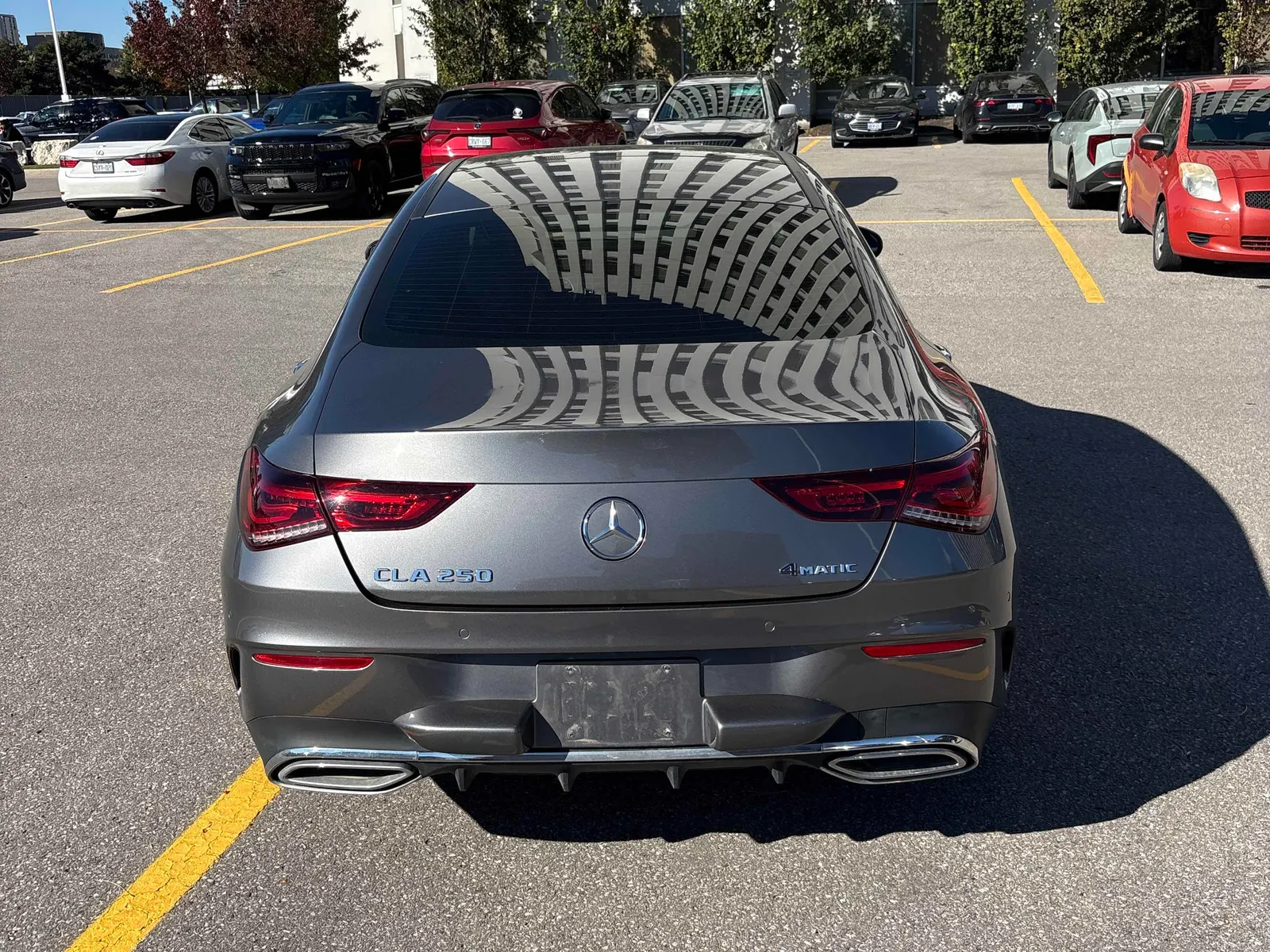 Back