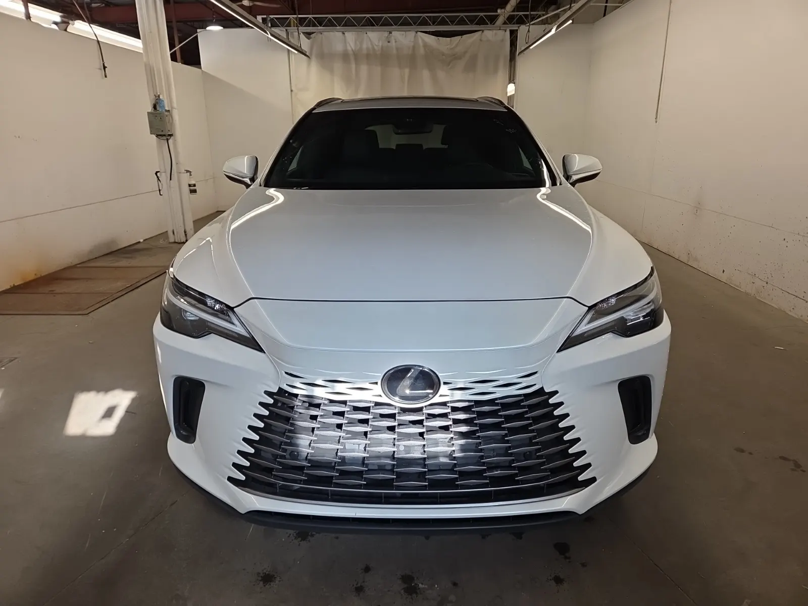 Full Front Photo