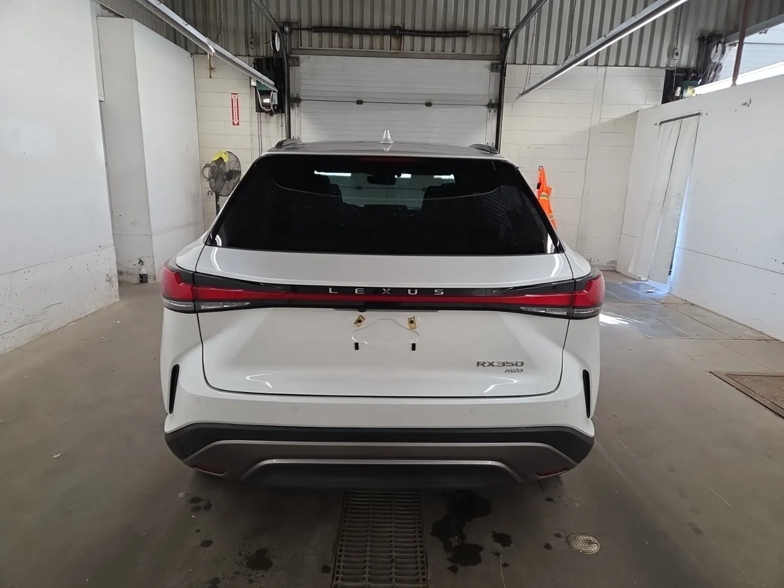 Full Rear Photo