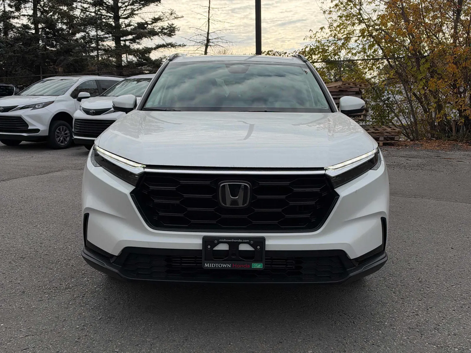 Front