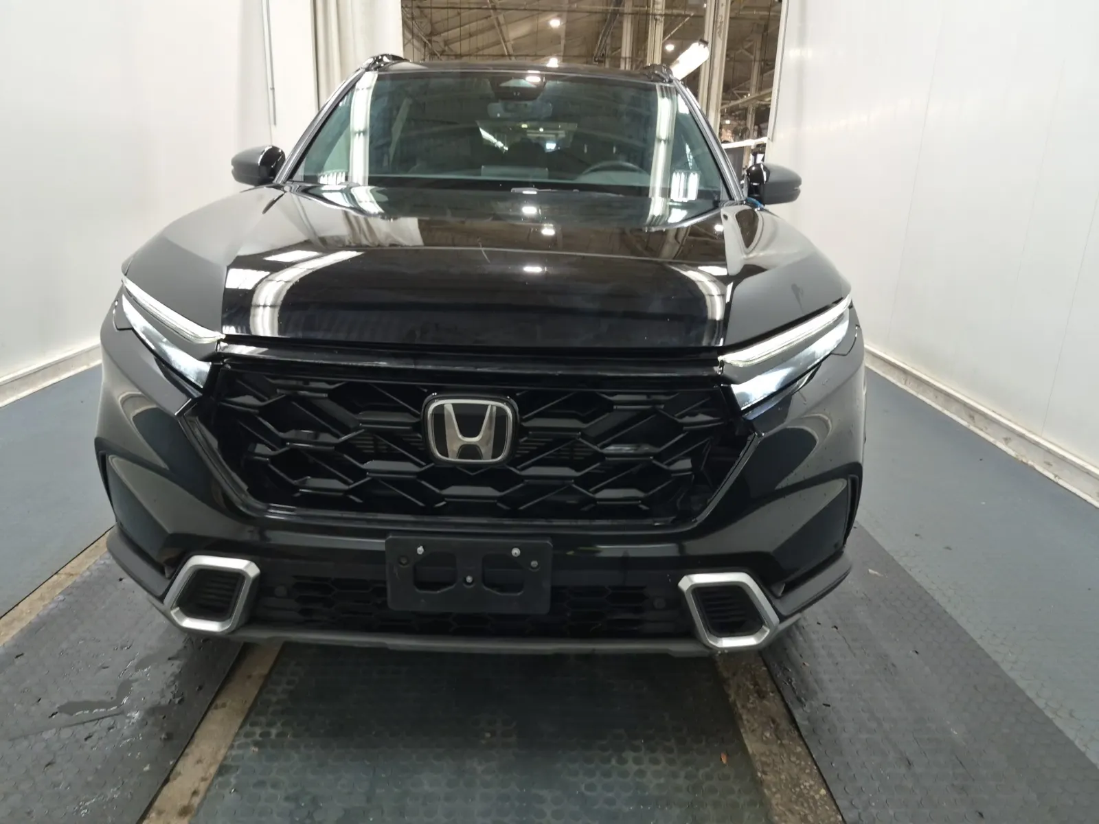 Full Front Photo