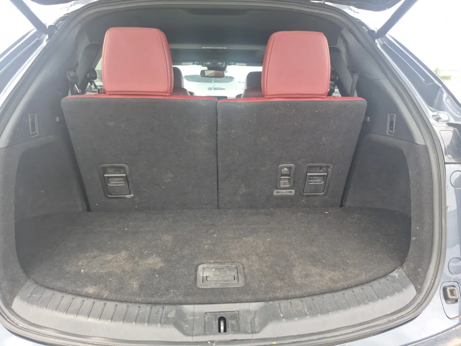 Cargo Area Photo
