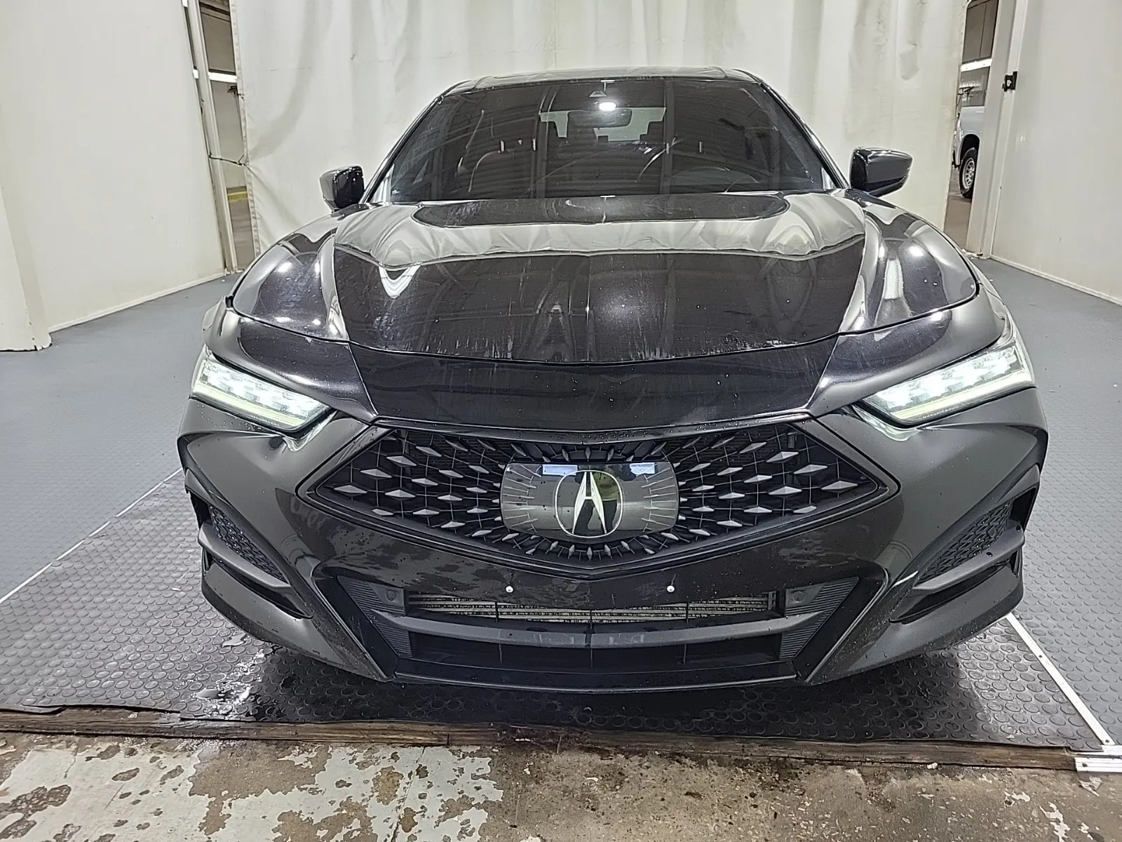 Full Front Photo