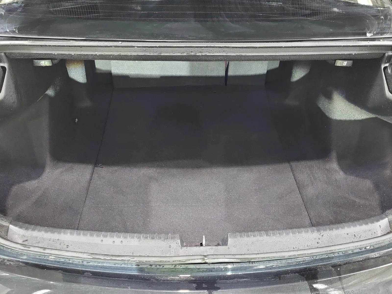 Cargo Area Photo