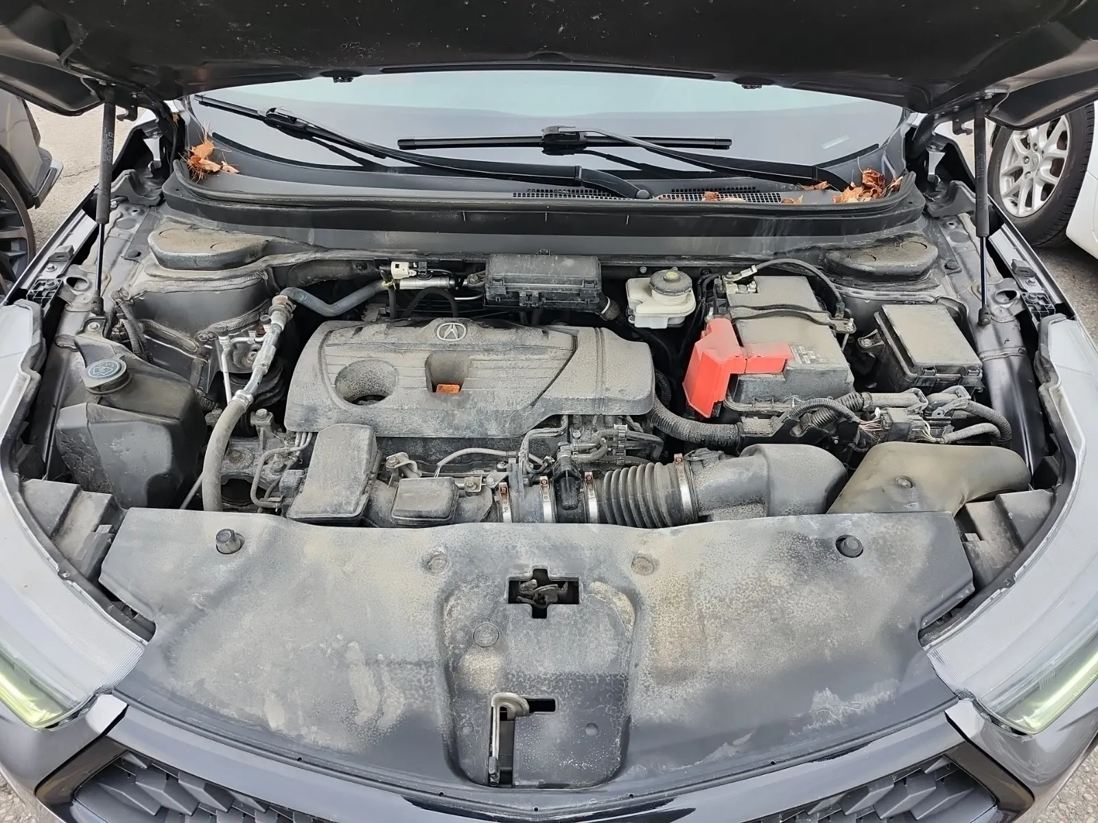 Engine Photo