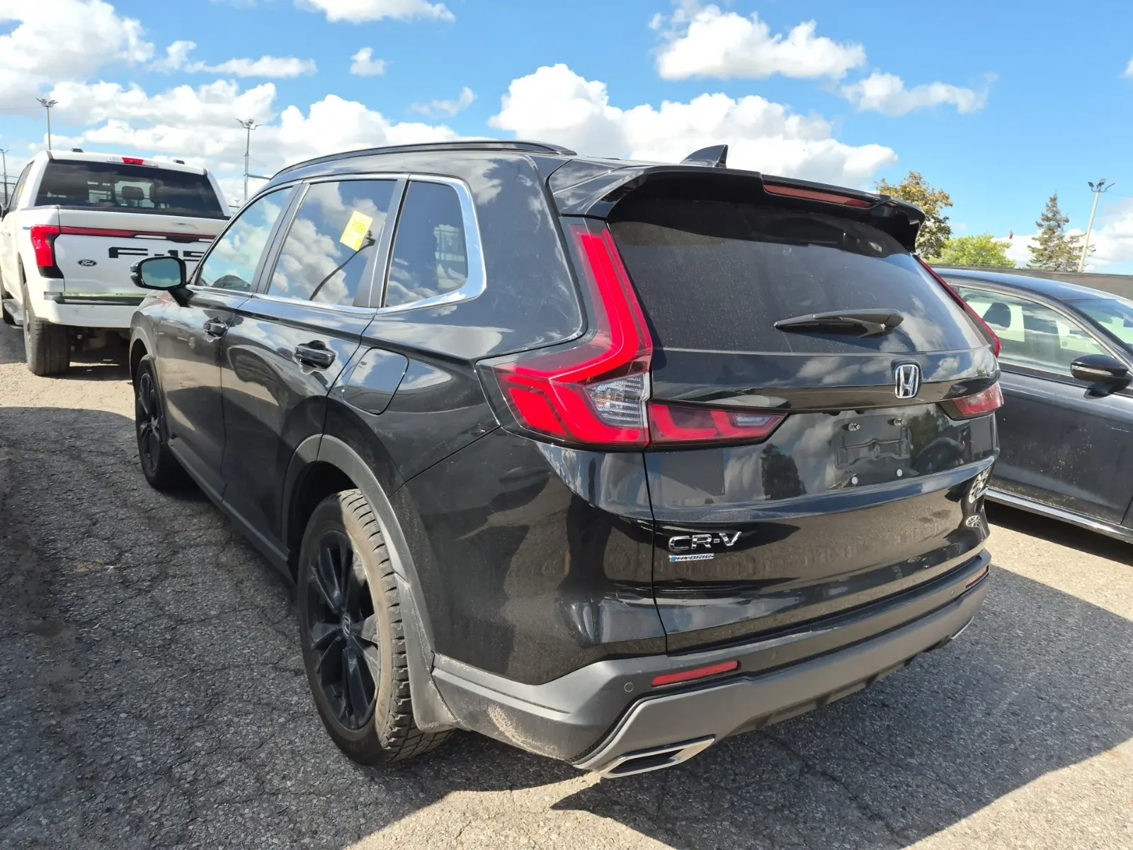 Driver Rear 3/4 Photo