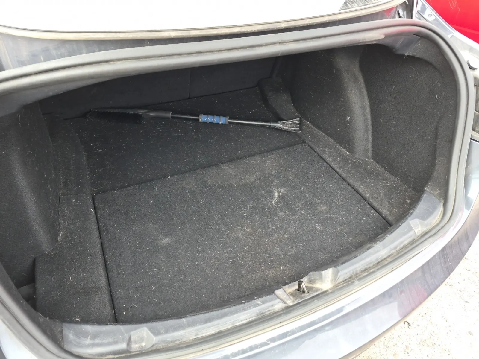Cargo Area Photo