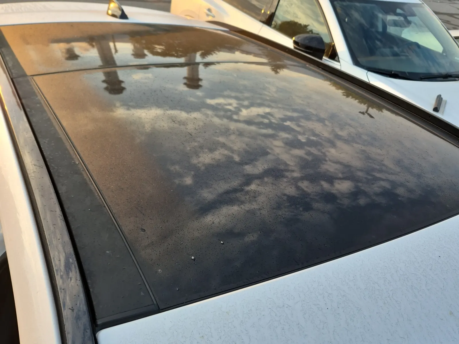 Exterior Roof Photo
