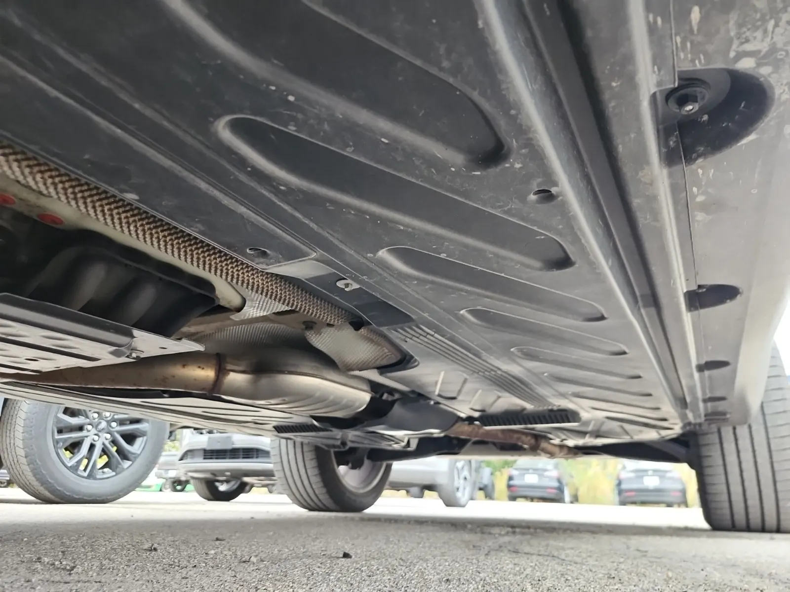 Undercarriage - Driver Photo