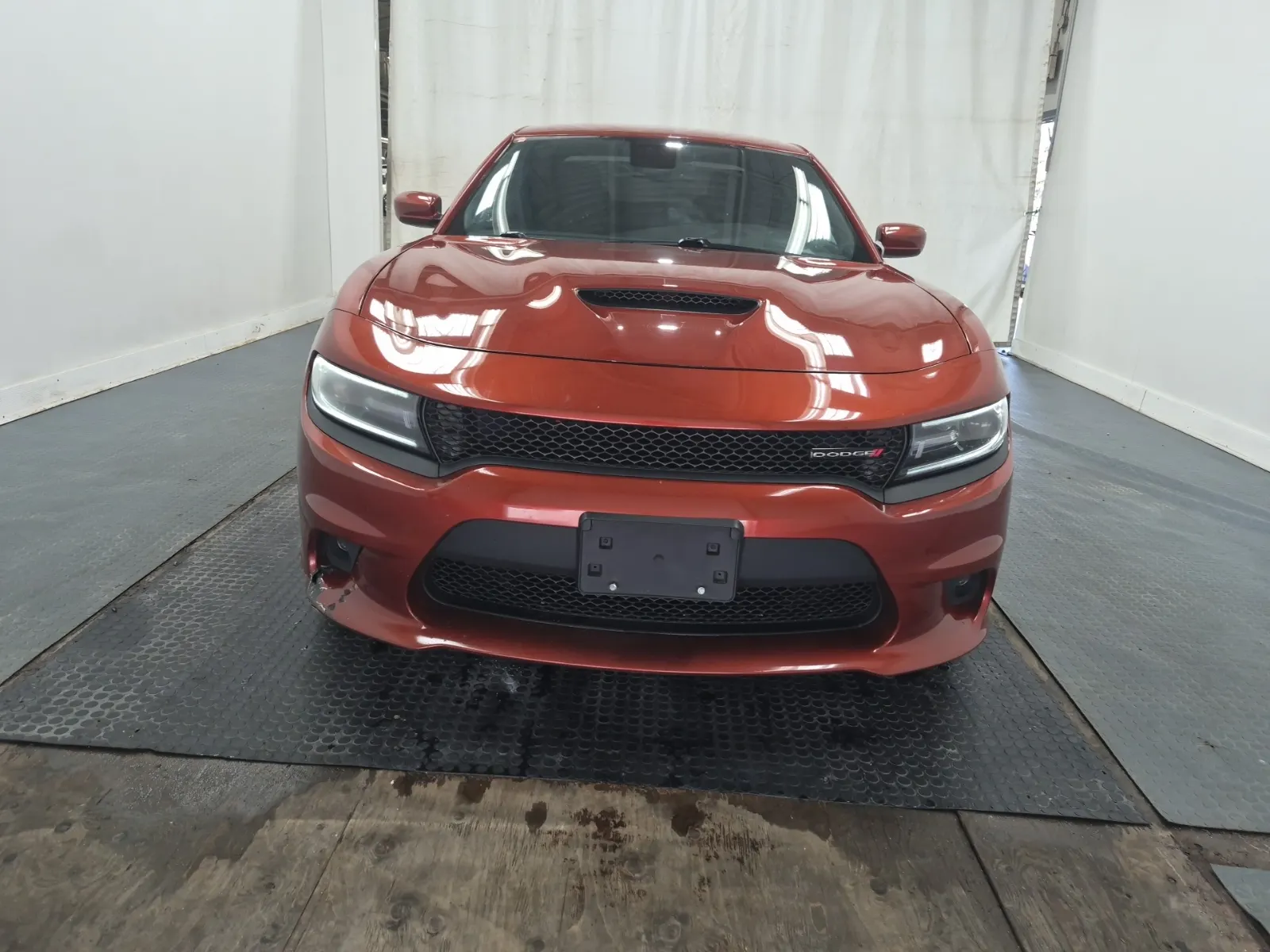 Full Front Photo