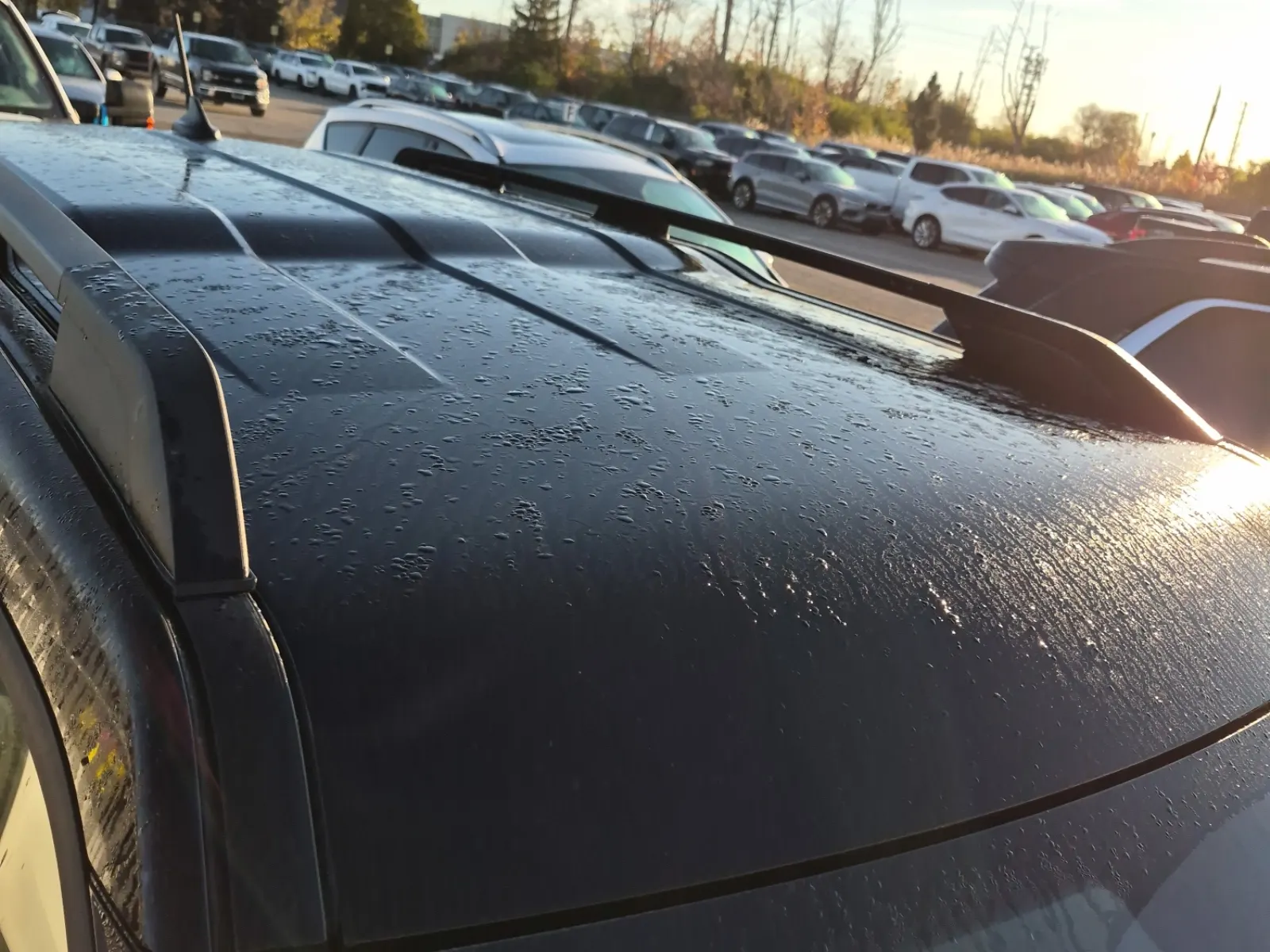 Exterior Roof Photo