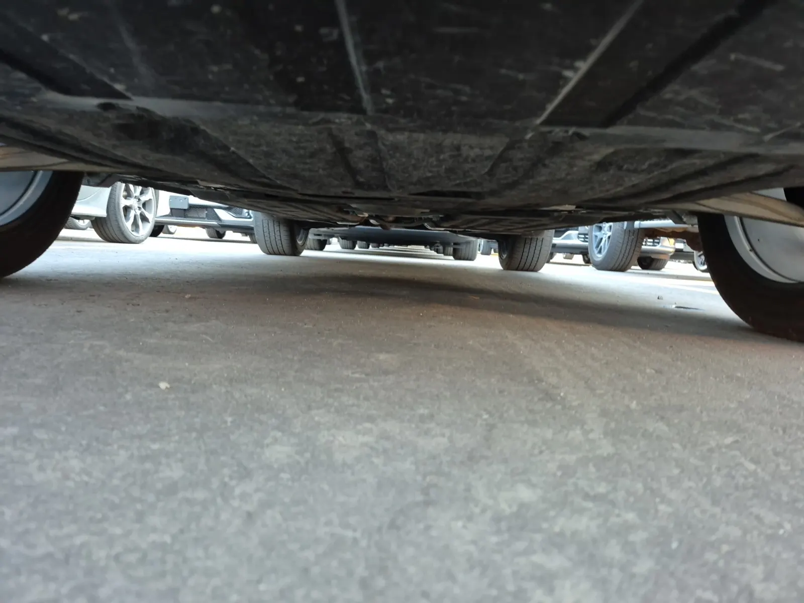 Undercarriage - Front Photo
