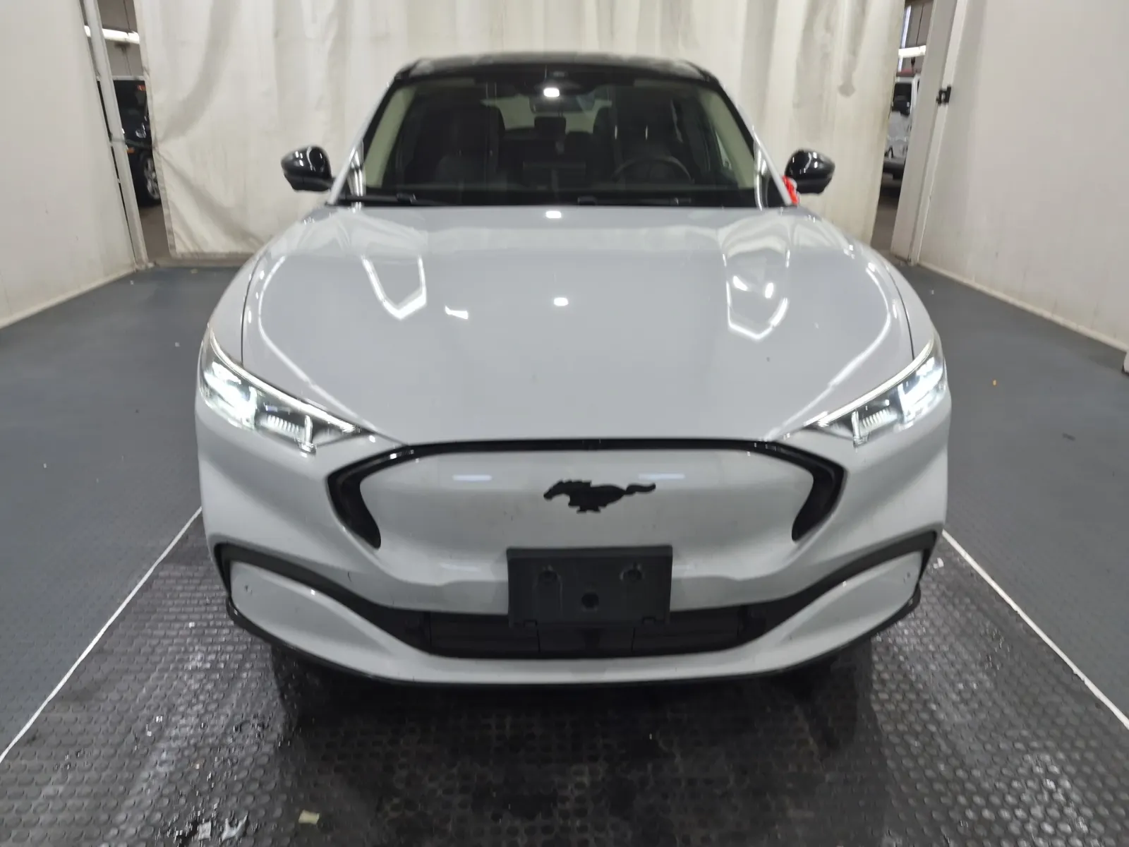 Full Front Photo