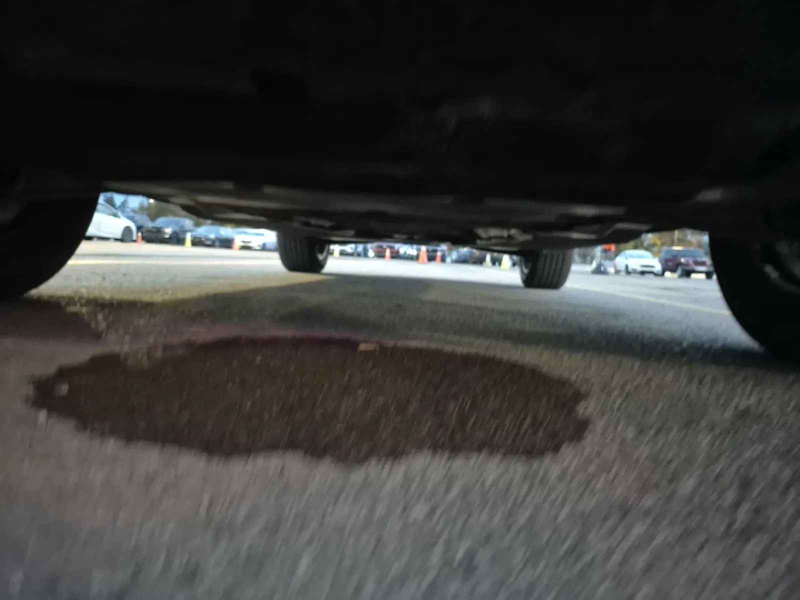 Undercarriage - Front Photo